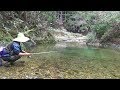 Japanese Mountain Stream Lure Fishing