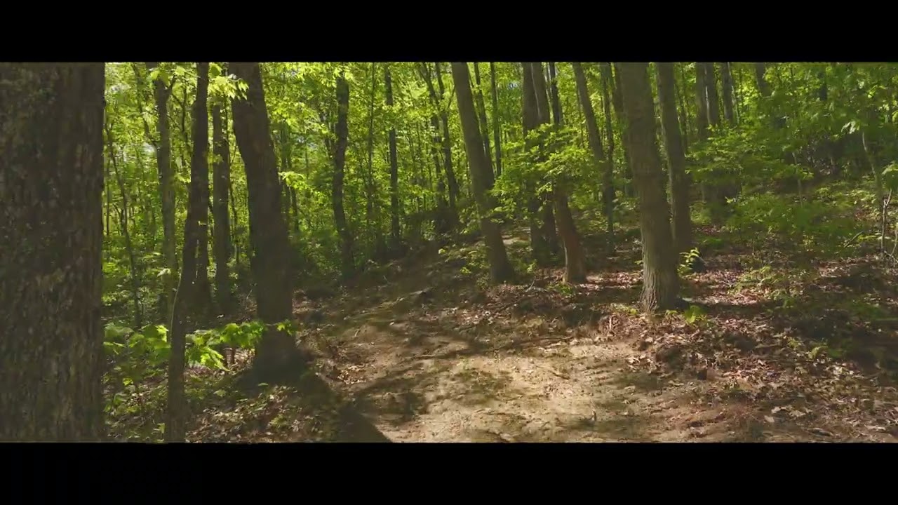 Black Valley RD Sneedville 459 acres in East TN $1,299,000.