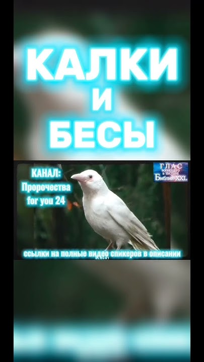 #Бог #Калки #Религия #Веды #библияxxi #дмитрийасташенок # ...