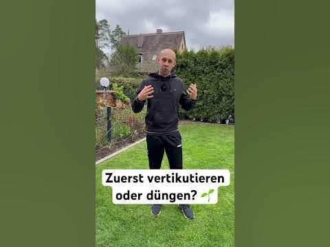 Zuerst vertikutieren oder düngen? Was ist die richtige Reihenfolge? 