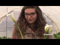 Otkrivamo Vam Sve što Niste Znali O Kalama Otkrivamo Vam Sve što Niste Znali O Kalama