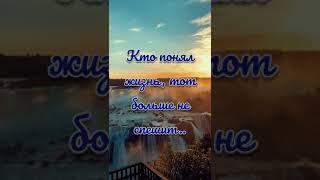 Кто понял жизнь.Пожелания друзьям.Relax#shorts