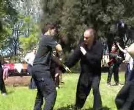 Yin Fu baguazhang workshop 5: standing duida