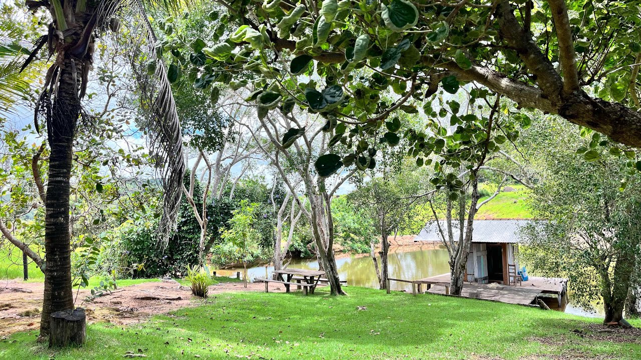 A vida continua, a saudade fica❤️ Tentando voltar a rotina na roça, dias difíceis 