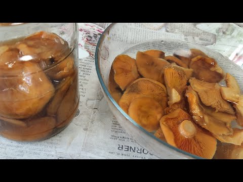 Солëные рыжики - ох и вкусные Царские //со стажем // лайфхак //