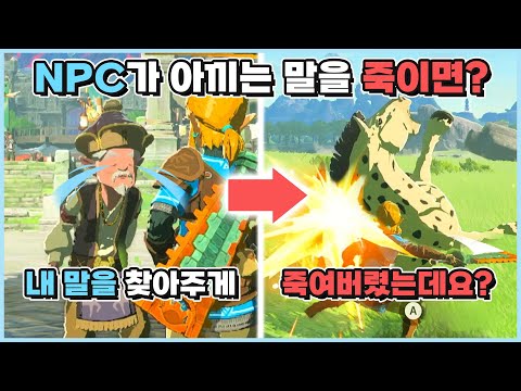 NPC가 잃어버린 말을 돌려주지않고 죽이면? [젤다의전설:티어스오브더킹덤]