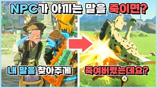 NPC가 잃어버린 말을 돌려주지않고 죽이면? [젤다의전설:티어스오브더킹덤] screenshot 4