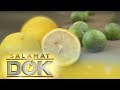 Dr mary grace macatangay details the health benefits of lemon and calamansi  salamat dok