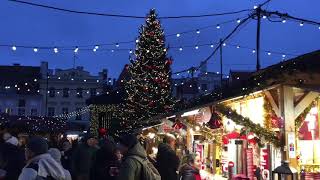 Christmas market Big! beautiful Christmas tree Tallinn Estonia,