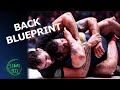 Roadmap to the rnc 15 minutes to mastery rear naked choke bjj analysis