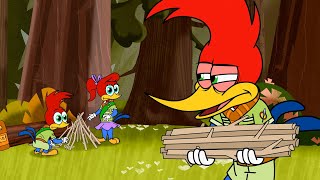 Woody's Wilderness School | Woody Woodpecker