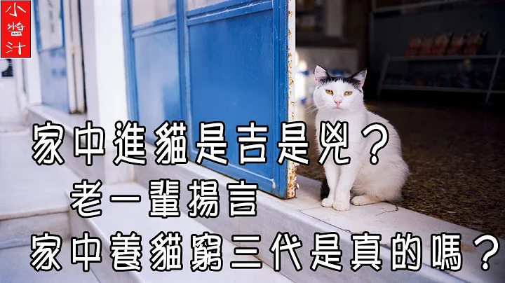 【宠物风水】老一辈扬言：养猫穷三代，这是真的吗？家里进猫是吉还是凶？ - 天天要闻