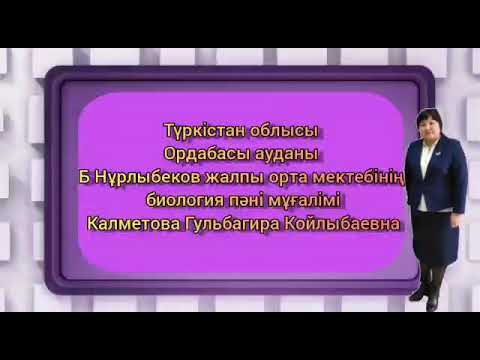 Бейне: Кодоминантты аллельдер дегеніміз не?