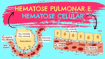 O que acontece na hematose tecidular?