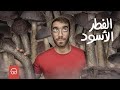 الفطر الاسود ايجيكولوجي 