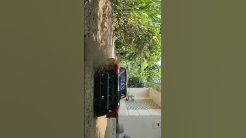 Arrma Senton Brushless Rc car extreme launch #arrmasenton #rccar #arrma