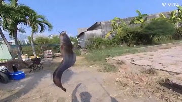 Điểm câu đẹp, sát chân cầu vượt cao tốc ở Nhà Bè.