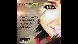 Didem Turan-Suya Gider Allı Gelin Has Gelin #didemturan #türkü #ankaratürküsü Resimi