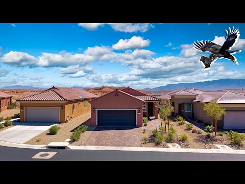 1170 Outlook Point, Mesquite, NV home video tour