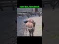 Same Boss, Same Result