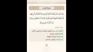 السراج في بيان غريب القران سورة الذاريات 11 مع تلاوة الشيخ سعد الغامدي