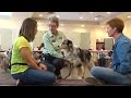 Become a dog trainer with the Victoria Stilwell Academy Become a dog trainer with the Victoria Stilwell Academy