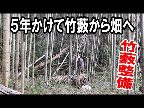竹の観賞と栽培 (1981年) General Editor] The five-year journey of clearing bamboo