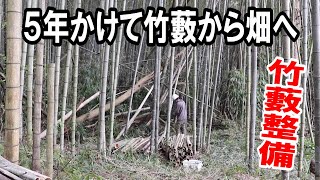 【総編集】現在人力で５年かけて竹藪切り倒し、畑を作るまでの道のり