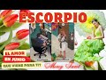 💖 Escorpio ♏️ QUE VIENE PARA MI EN EL AMOR EN JUNIO? #escorpio #hoy #tarot