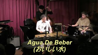 【Água De Beber (おいしい水)】　/ Antonio Carllos Jobim　　Bossa Nova　Vibraphone (ビブラフォン)大井貴司　　Latin　　ボサノヴァ