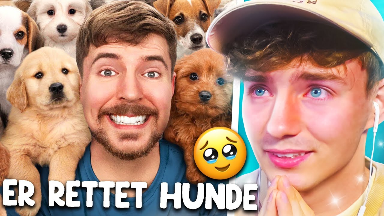 MrBeast Hat 100 VERLASSENE Hunde GERETTET😭 🥺