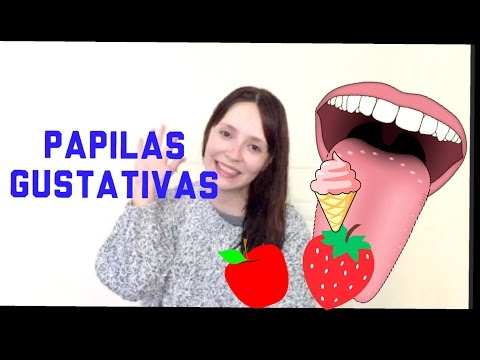 Video: ¿En las papilas gustativas de la lengua?