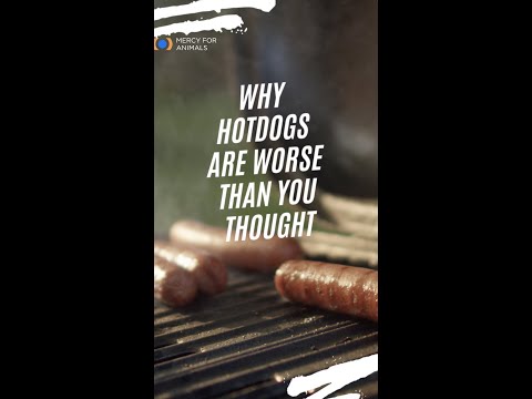 Video: Zijn hotdogs slecht voor je?