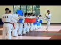 Amazing Taekwondo Training