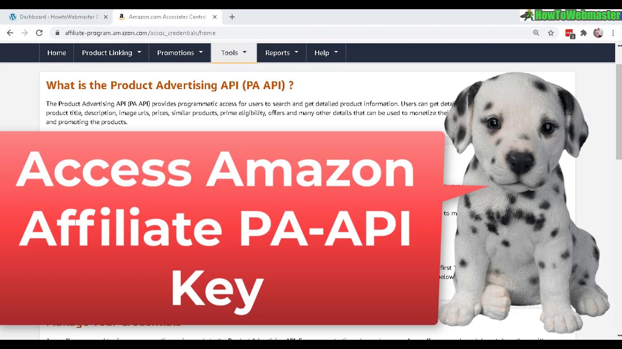 Kosmetik Shop Wordpress kein PA-API-Schlüssel benötigt Amazon Affiliate 