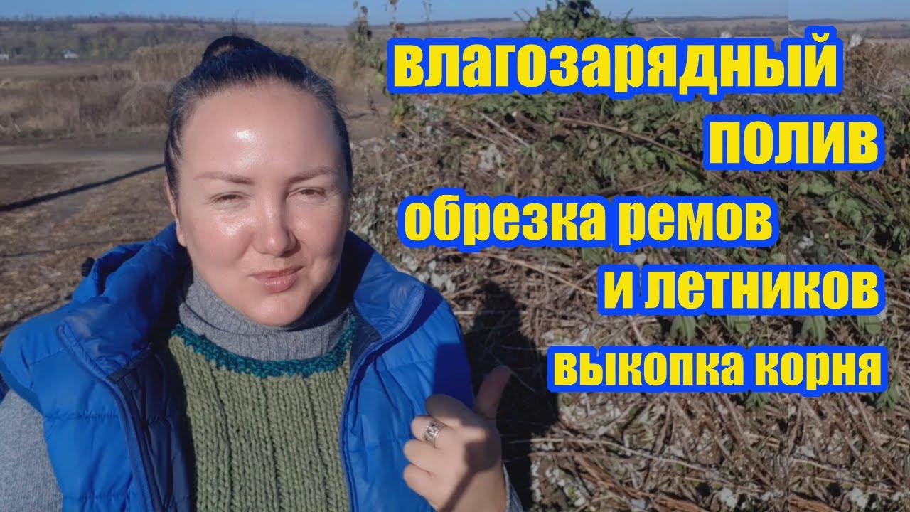 Самодельный инжектор смеситель подкормки малины - 84 фото