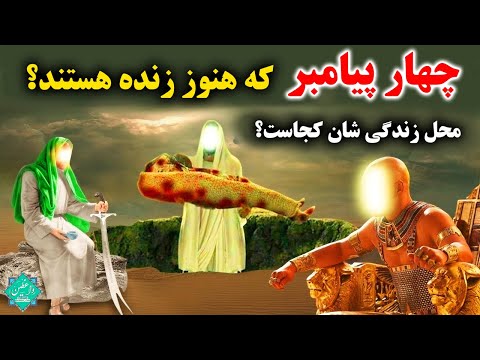 تصویری: جغد میله ای کجا زندگی می کند؟