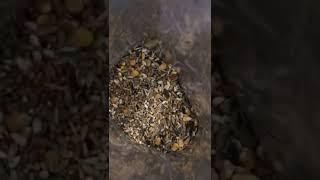 Dünyanın En Iyi Kahvaltisi...