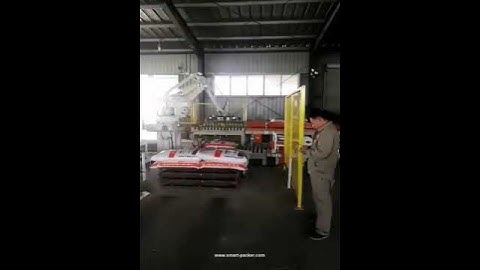 Customer factory video of automatic big bag palletizing machine palletizier equipment