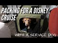 Packing for a DISNEY CRUISE with a SERVICE DOG