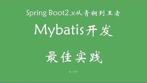 4 10 mybatis开发实践总结 SpringBoot从青铜到王者系列 教程