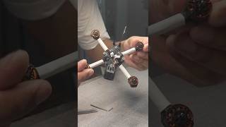 Honey Shrunk The 5In Loving The Kayoumini