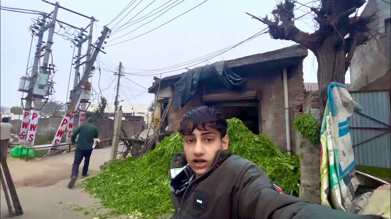 Aaj ￼ Gayi ka ghas lena kaha aa gaye ?? ￼😧