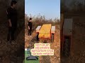 Affordable Low Price Off Road Remote Controlled Trolley For Sale