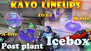 NEW Top 15 Icebox Kayo Post Plant Lineups | Kayo Lineups Icebox | Kayo Icebox Guide