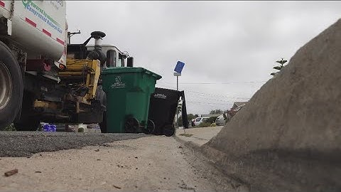 Flies around your trash bin bugging you? Experts offer tips