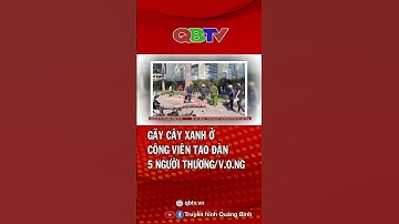 Gãy cây xanh ở công viên Tao Đàn, 5 người thương/v.o.ng | QBTV #shorts