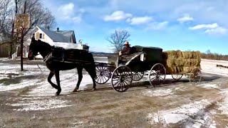 William is Hauling Hay Home! // Sawing Lumber with our Wood-Mizer LT-40 #603