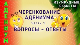 : . |  . 1 .   .