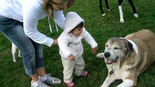 Leeme & Gabriella 26Mar10 26Sec.mov